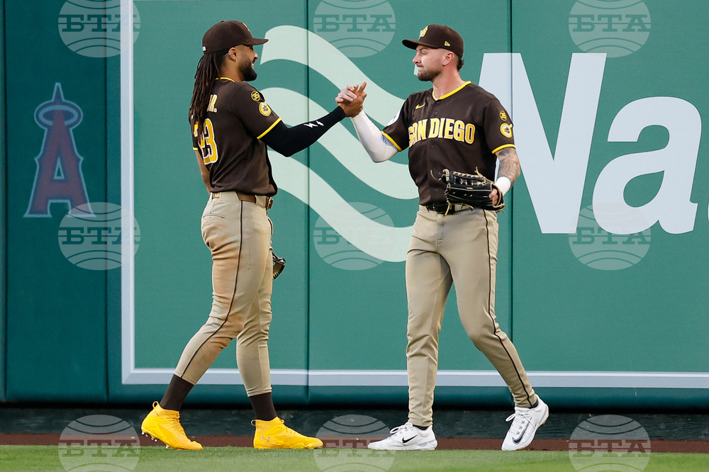 Padres Angels Baseball