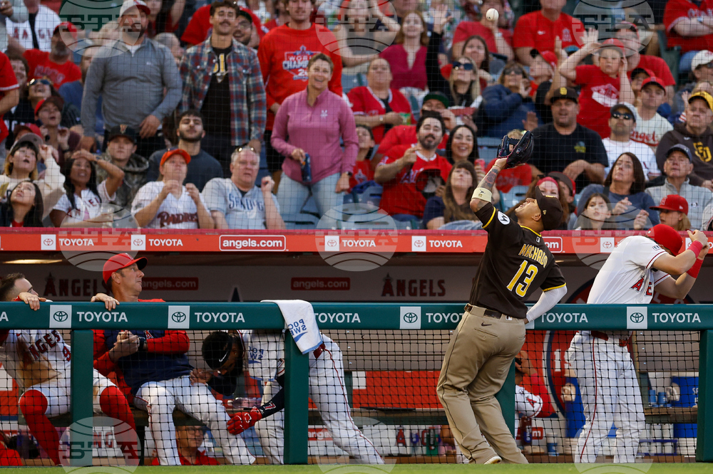 Padres Angels Baseball