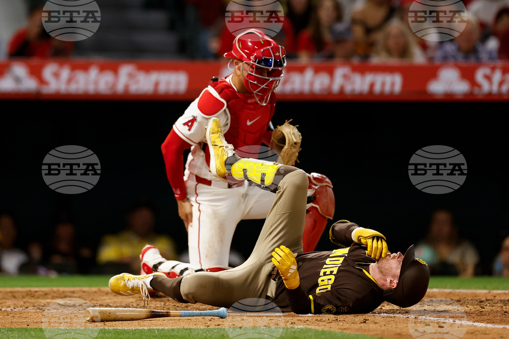 Padres Angels Baseball