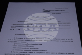 Румъния - Посолство на България - парламентарни избори - избирателна секция