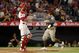 Padres Angels Baseball