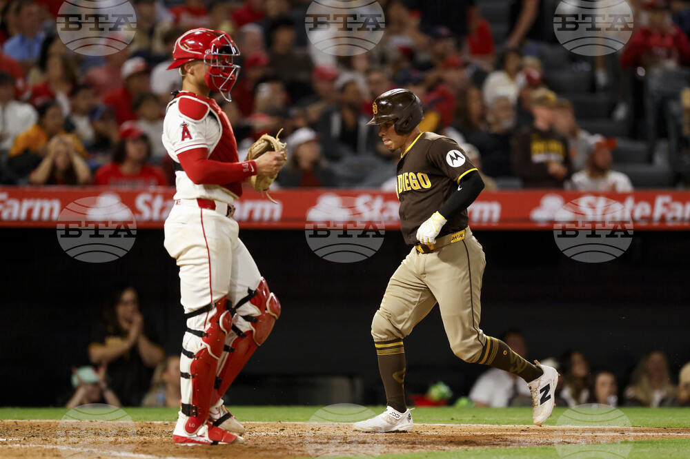 Padres Angels Baseball