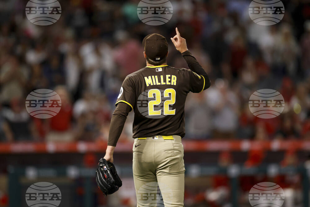 Padres Angels Baseball