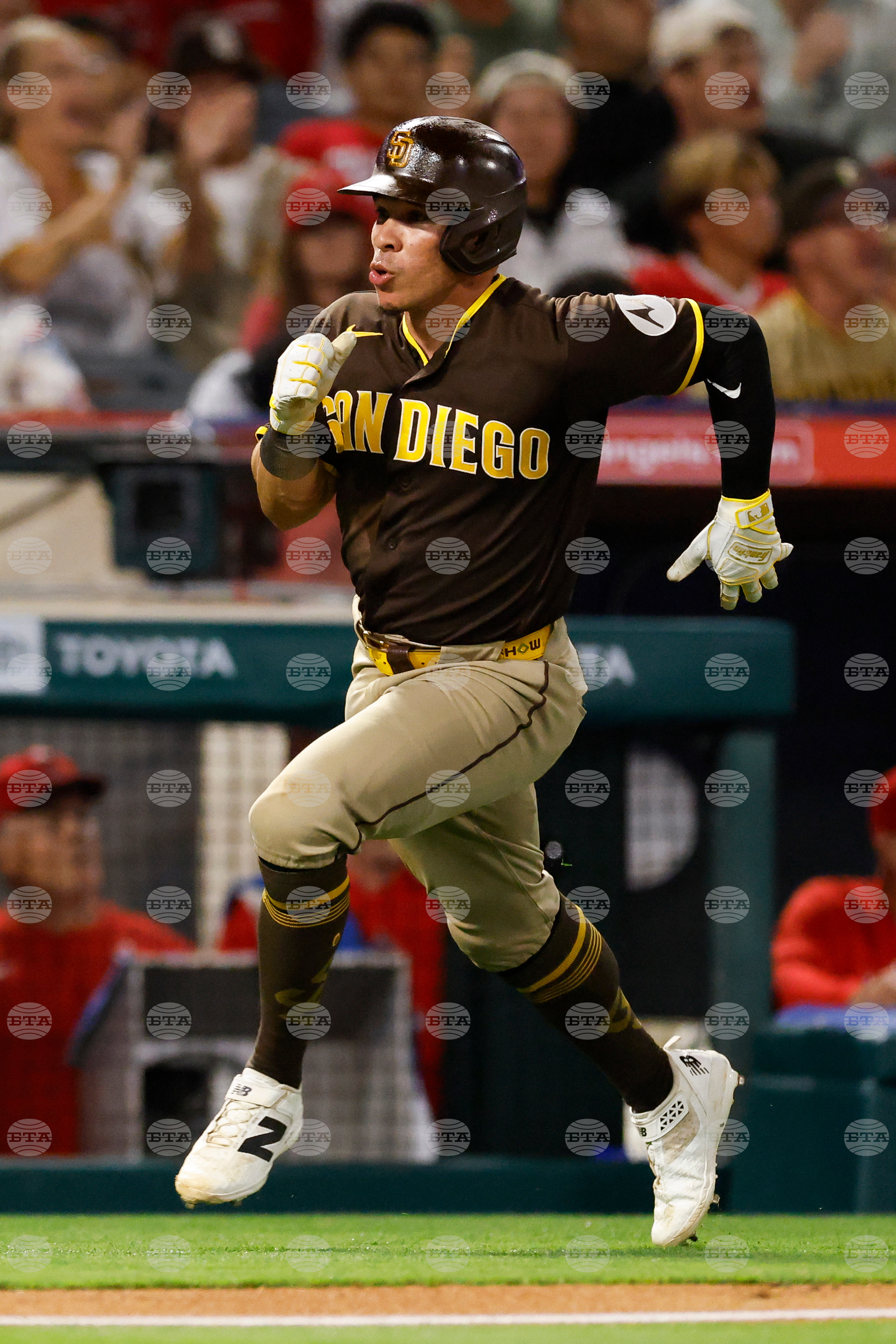 Padres Angels Baseball