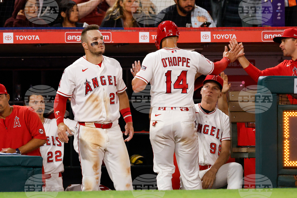Padres Angels Baseball