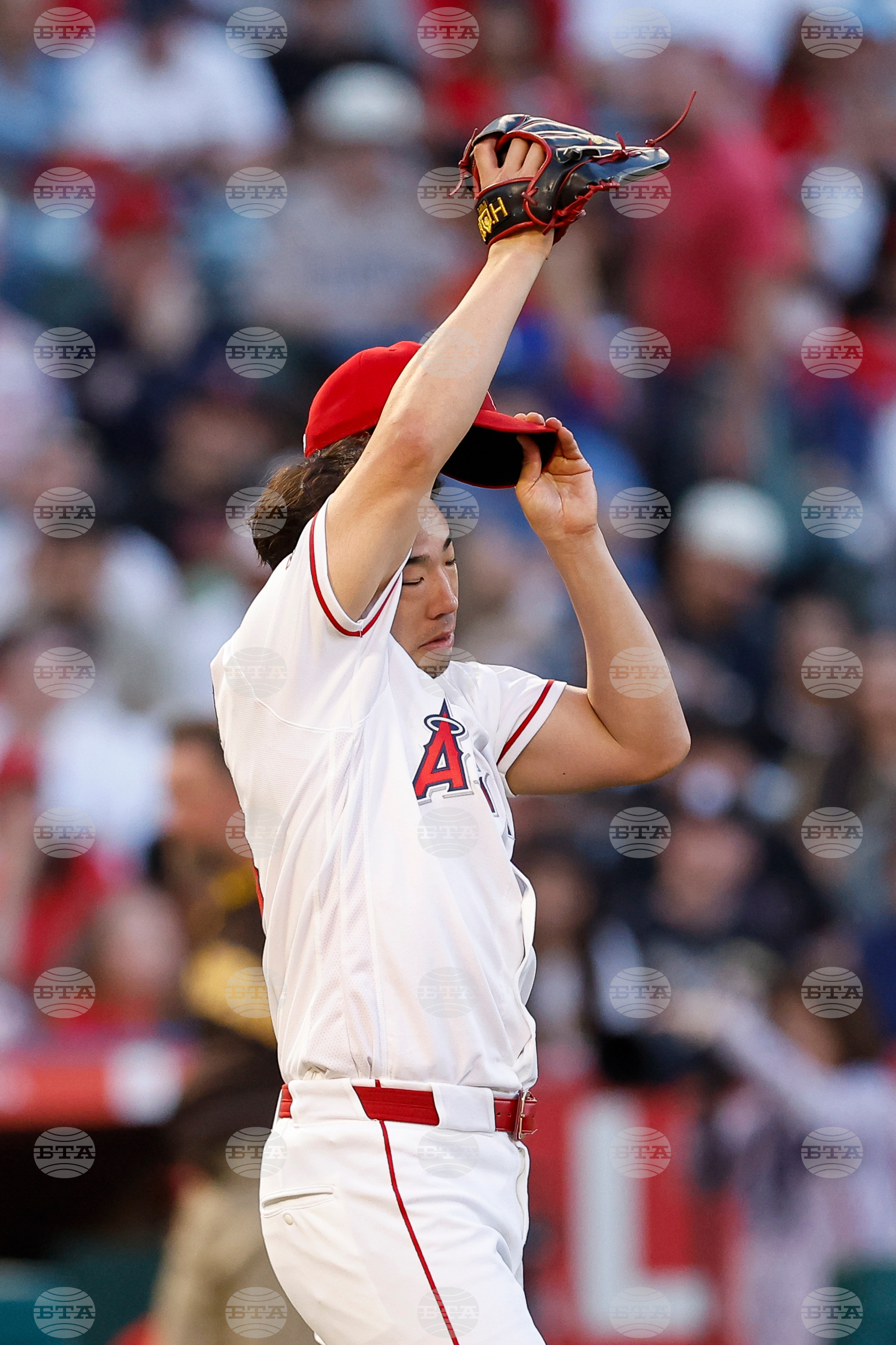 Padres Angels Baseball