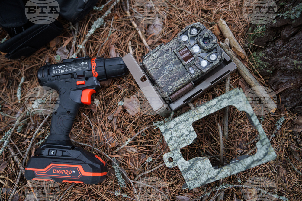 Ukraine Chernobyl Nature