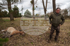 Ukraine Chernobyl Nature