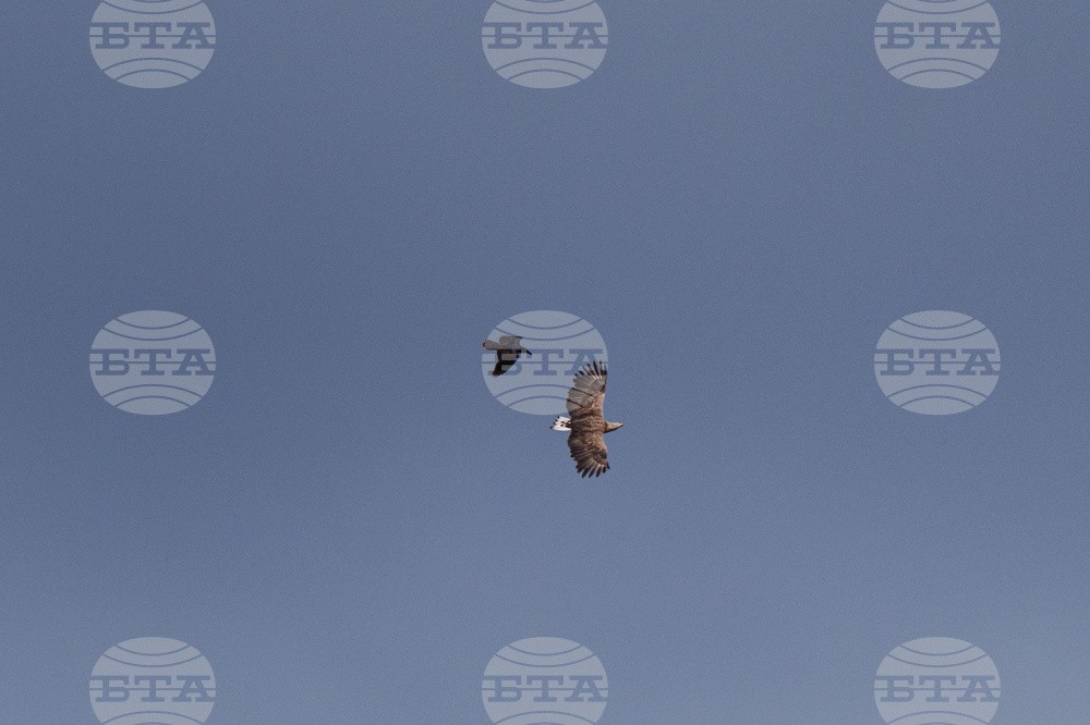 Ukraine Chernobyl Nature