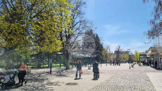 За пръв път в община Търговище ще гласуват 1193-ма младежи, най-възрастният гласоподавател е на 104 години 