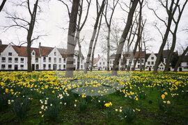 Europe Belgium Beguinages