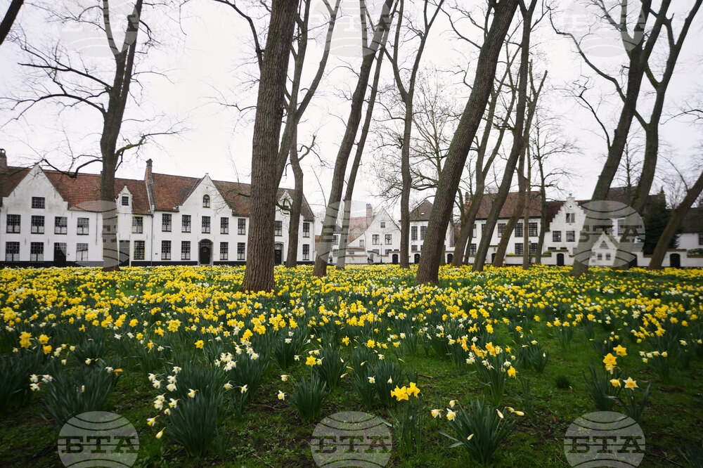 Europe Belgium Beguinages