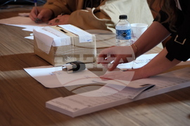 Турция - Анкара - парламентарни избори - България - гласуване