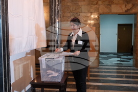 Турция - Анкара - парламентарни избори - България - гласуване