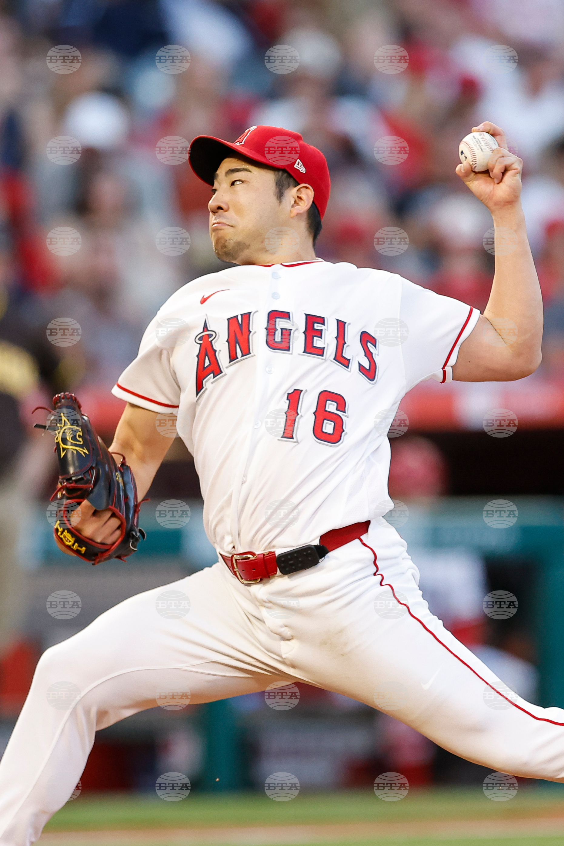 Padres Angels Baseball