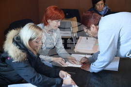 Село Селище - парламентарни избори - гласуване