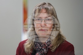 Министерство на външните работи - парламентарни избори - брифинг