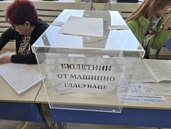 Плевен - парламентарни избори - гласуване