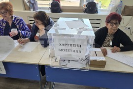 Плевен - парламентарни избори - гласуване