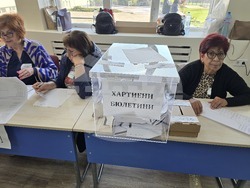 Плевен - парламентарни избори - гласуване