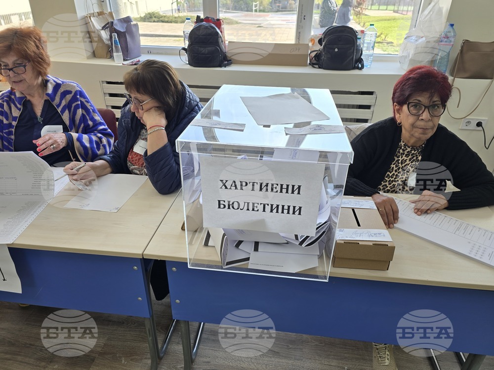 Плевен - парламентарни избори - гласуване