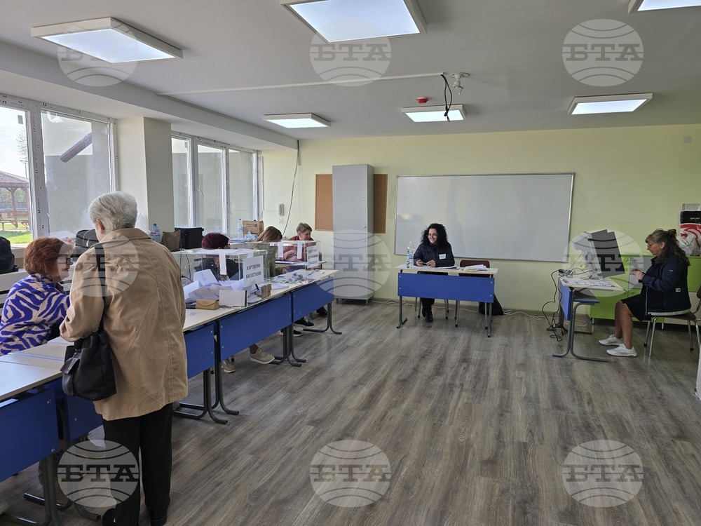 Плевен - парламентарни избори - гласуване