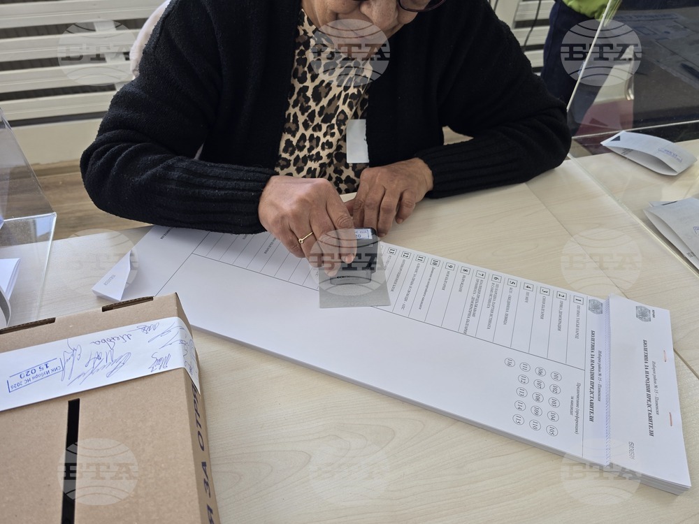 Плевен - парламентарни избори - гласуване