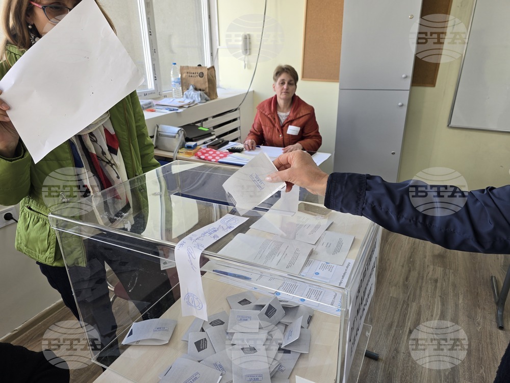 Плевен - парламентарни избори - гласуване