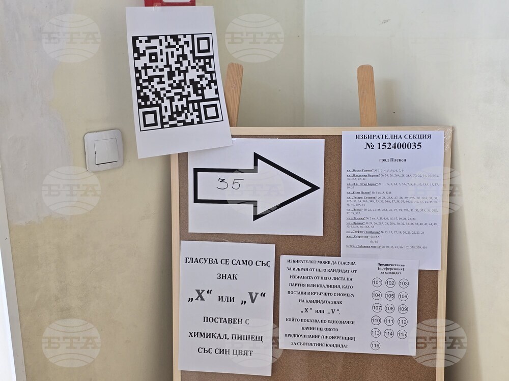Плевен - парламентарни избори - гласуване