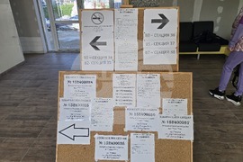 Плевен - парламентарни избори - гласуване