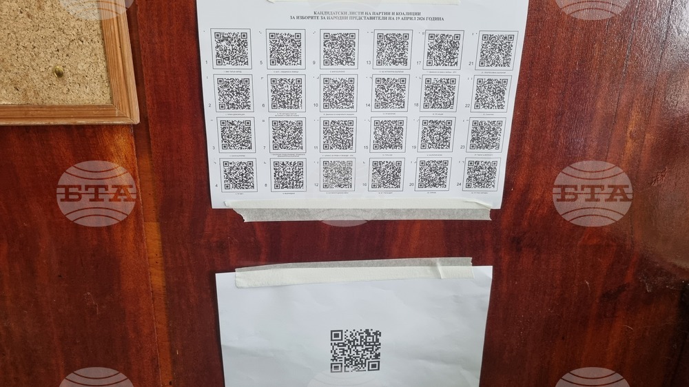 Търговище - парламентарни избори - гласуване