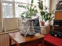 Търговище - парламентарни избори - гласуване