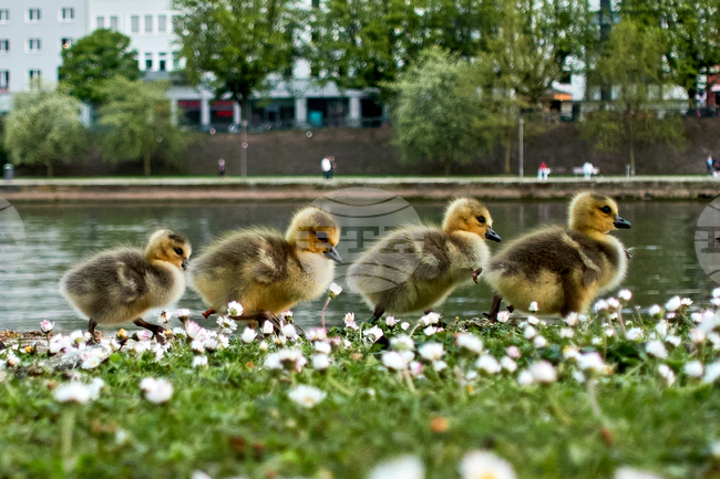 APTOPIX Germany Daily Life