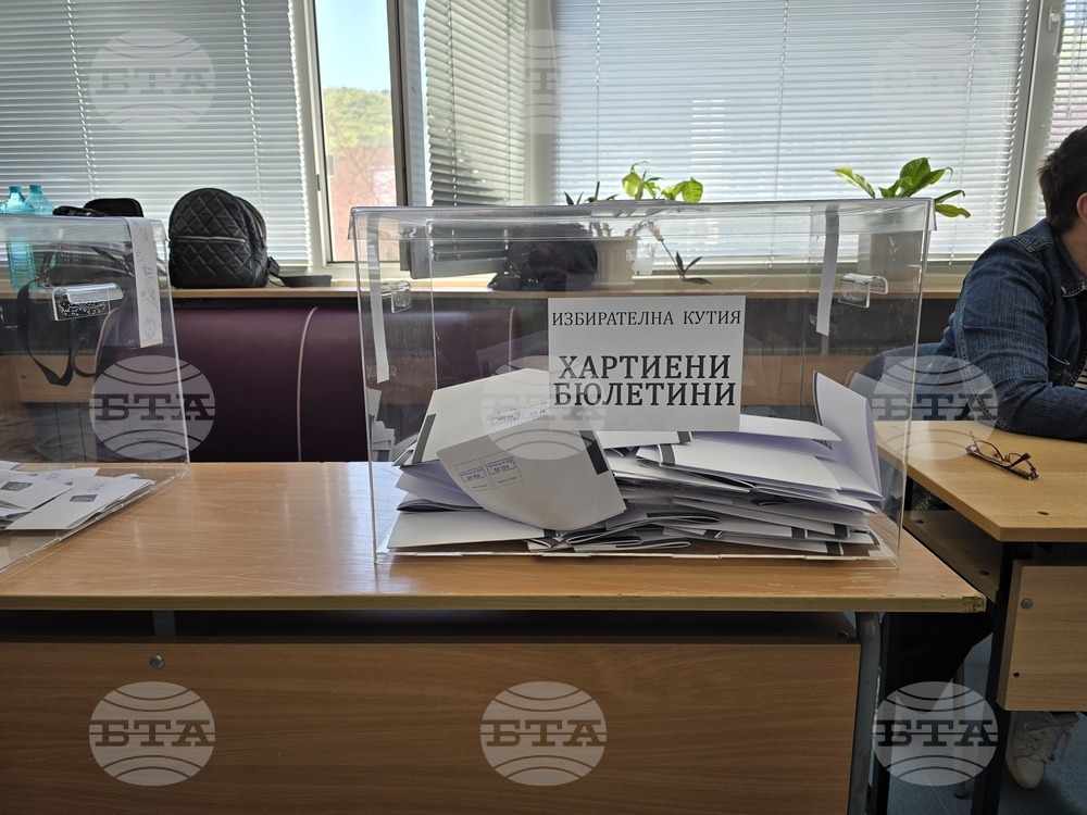 Свищов - парламентарни избори - гласуване