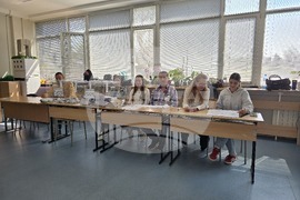 Свищов - парламентарни избори - гласуване