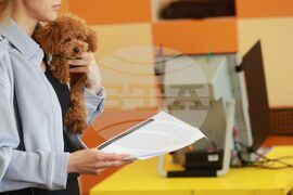 Банкя - Парламентарни избори - 78 СУ „Христо Смирненски“ - гласуване