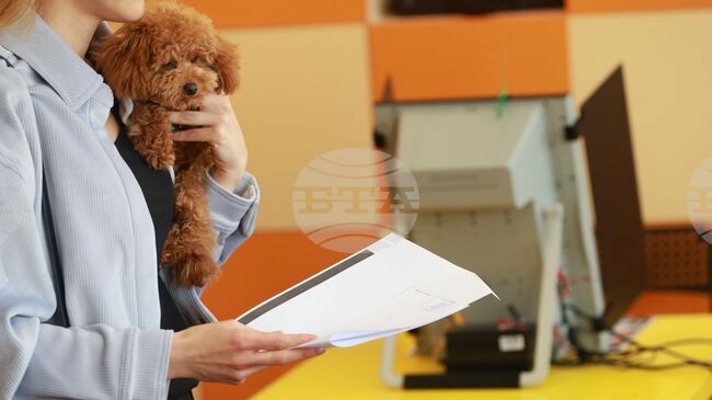 Избирателната активност към 15:00 часа е 31,8% по данни от екзит пол на социологическа агенция „Мяра“ 