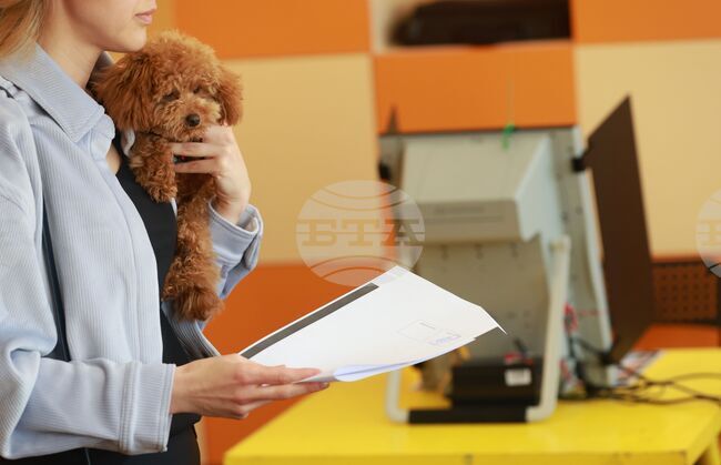 Избирателната активност към 15:00 часа е 31,8% по данни от екзит пол на социологическа агенция „Мяра“ 