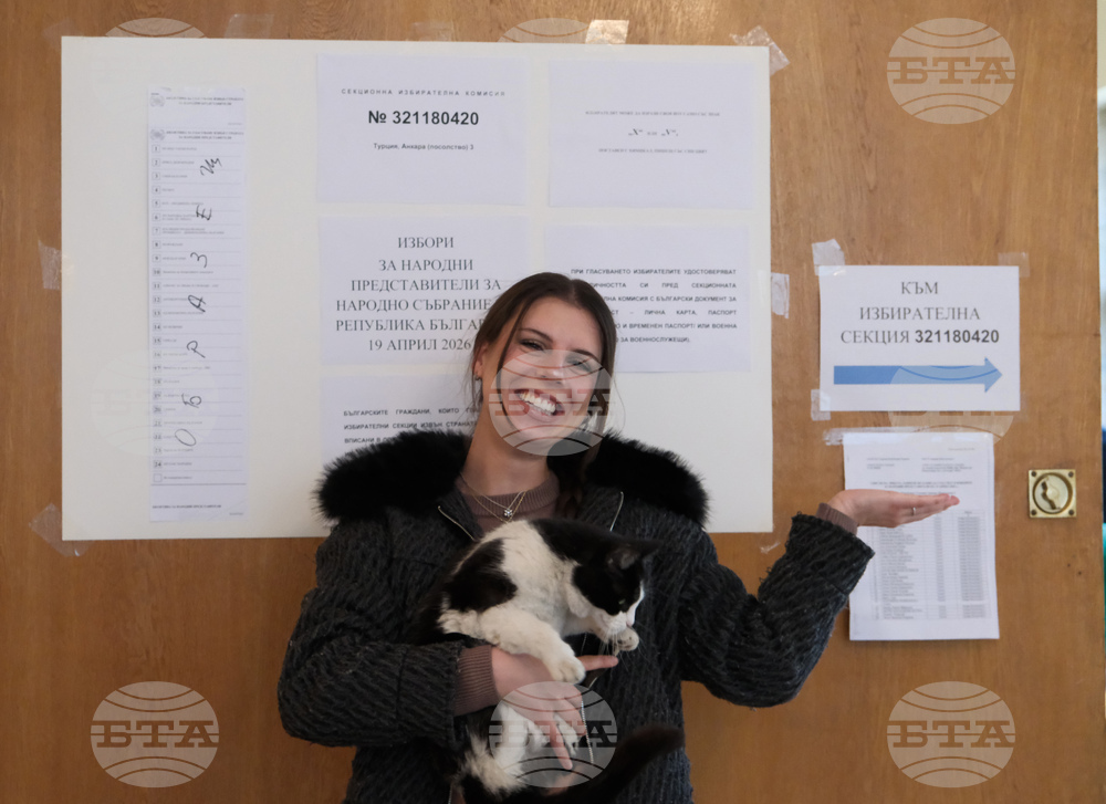 Турция - Анкара - парламентарни избори - България - избирателна активност