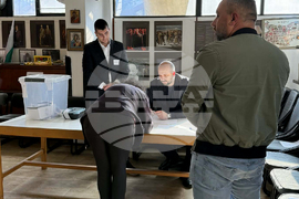 Сърбия - Босилеград - парламентарни избори - България