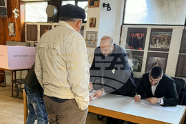 Сърбия - Босилеград - парламентарни избори - България