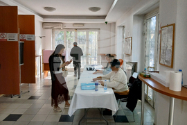 Сърбия - Ниш - парламентарни избори - България