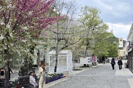 Сливен - парламентарни избори