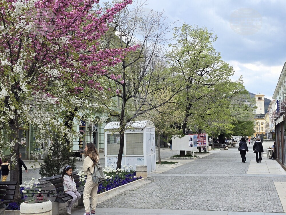 Сливен - парламентарни избори