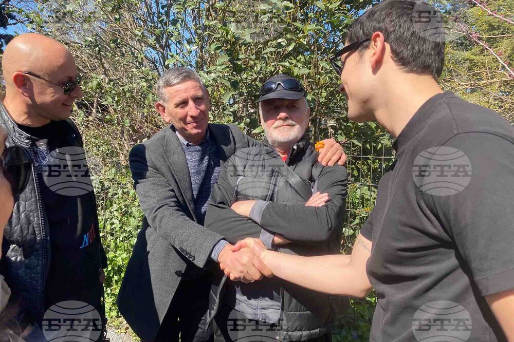 Турция - парламентарни избори - България - гласуване