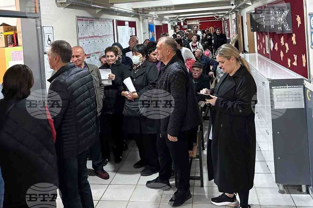 Турция - парламентарни избори - България - гласуване
