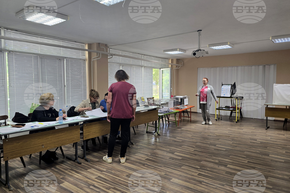 Видин - предсрочни парламентарни избори - изборен ден