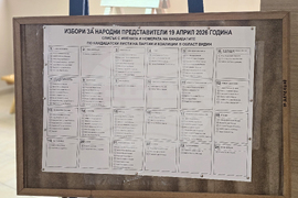 Видин - предсрочни парламентарни избори - изборен ден