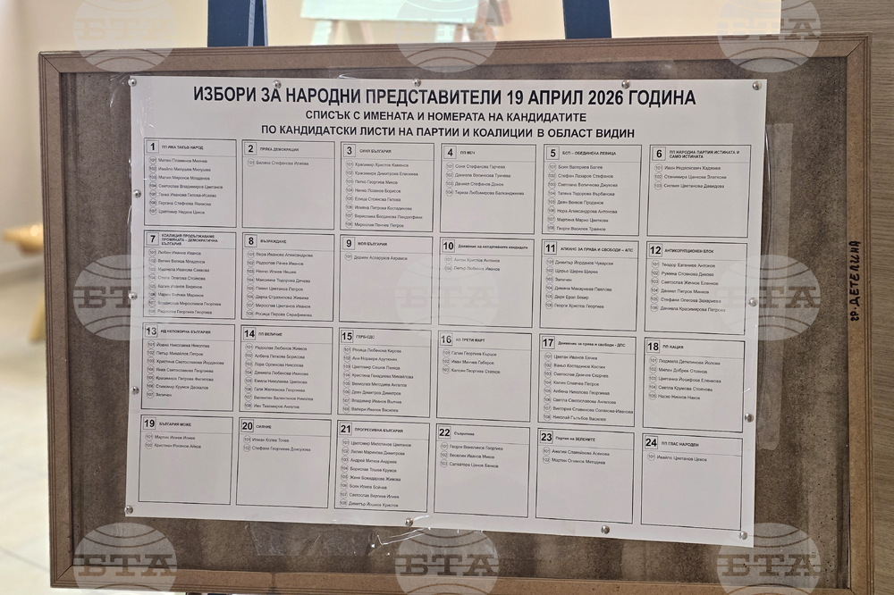 Видин - предсрочни парламентарни избори - изборен ден