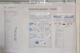 Видин - предсрочни парламентарни избори - изборен ден